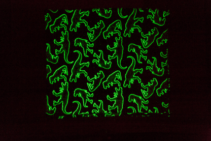 Plush blanket, dinosaur,