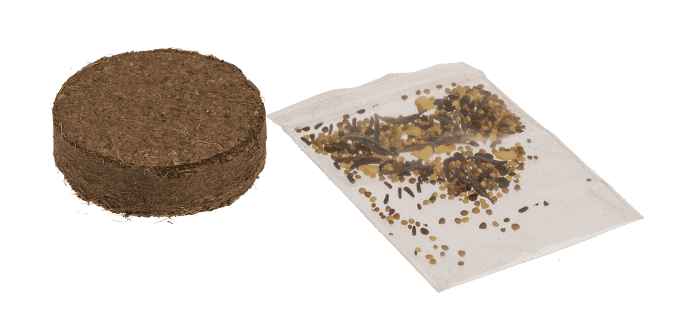 Flower seeds, Meadow, with soil pad,