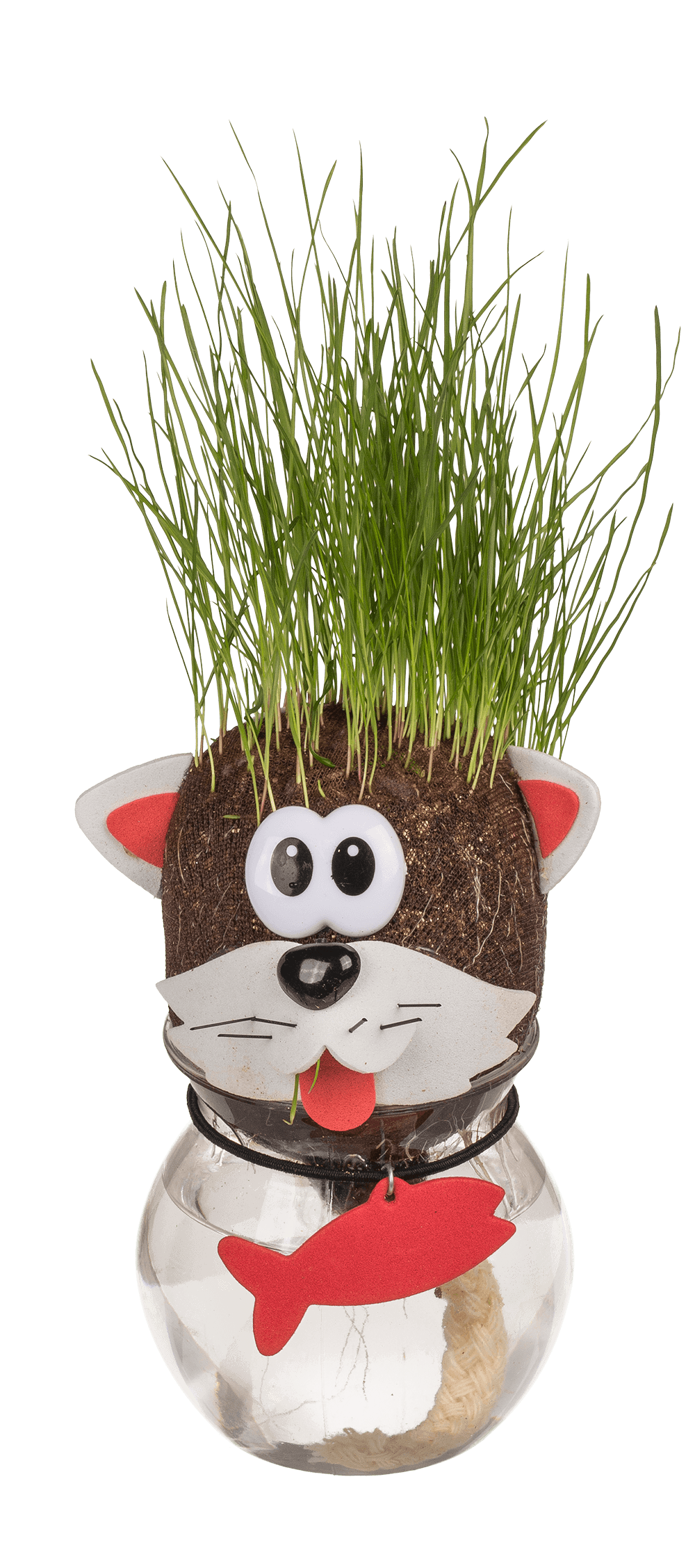 Animal Grass head,