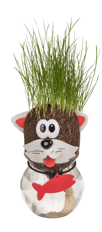 Animal Grass head,