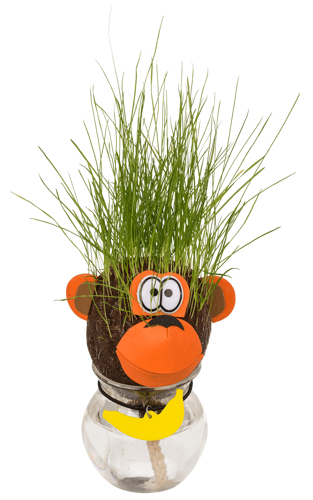 Animal Grass head,