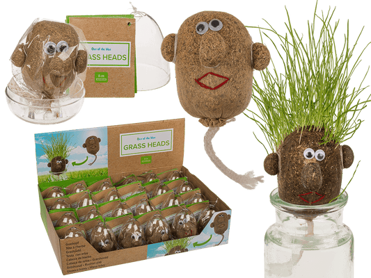Grass head,
