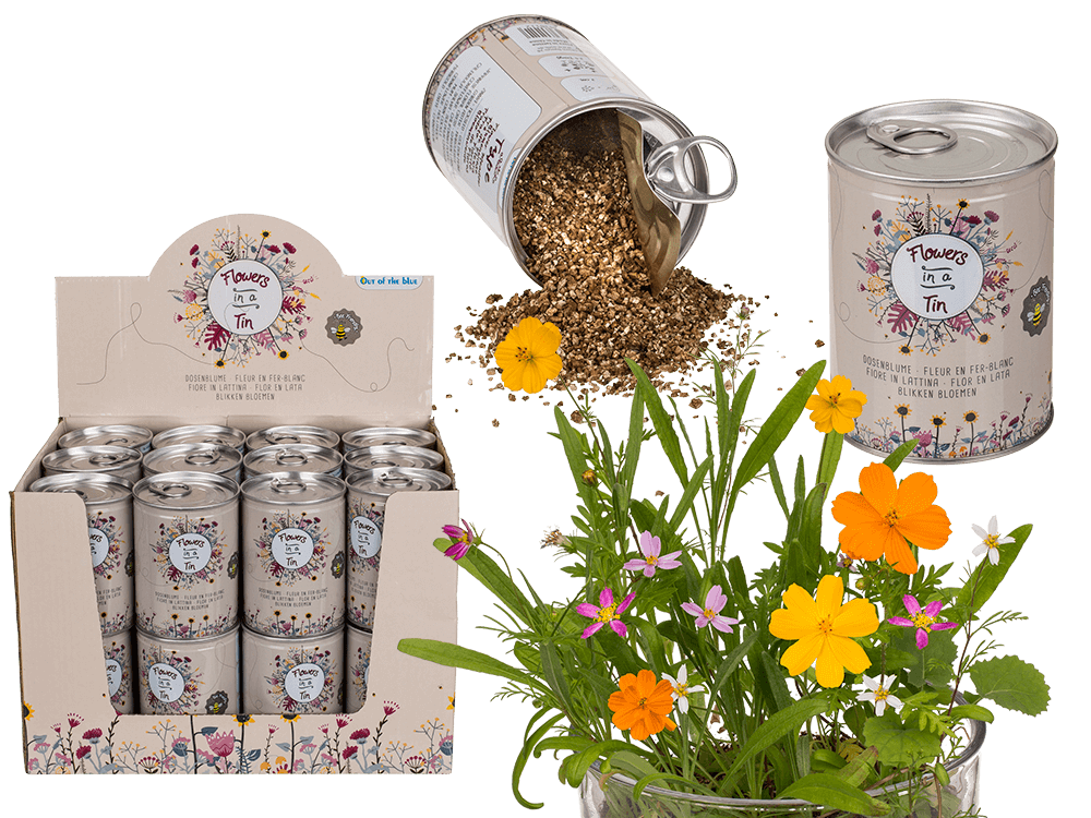 Tin Flower , Flower Meadow,