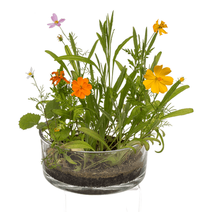 Tin Flower , Flower Meadow,