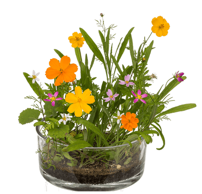 Tin Flower , Flower Meadow,