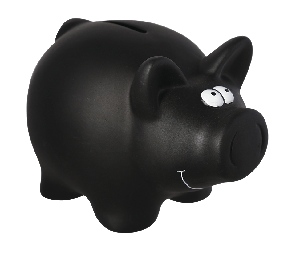 Savings bank, Black Pig,