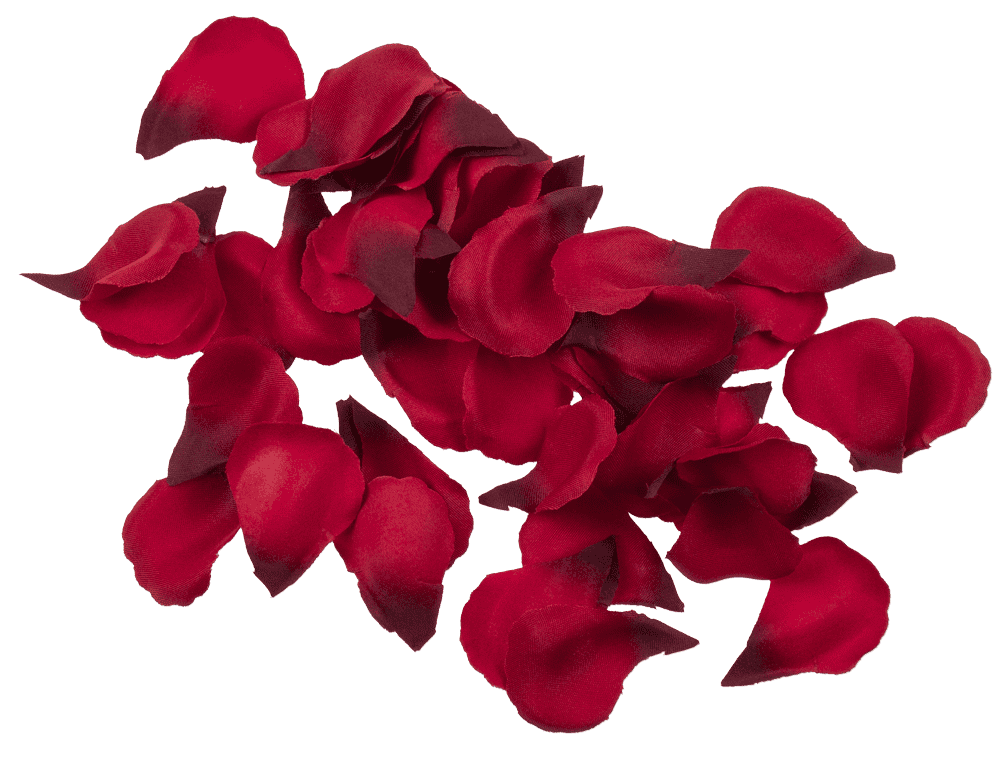 Red rose petals, 4 x 6 cm,