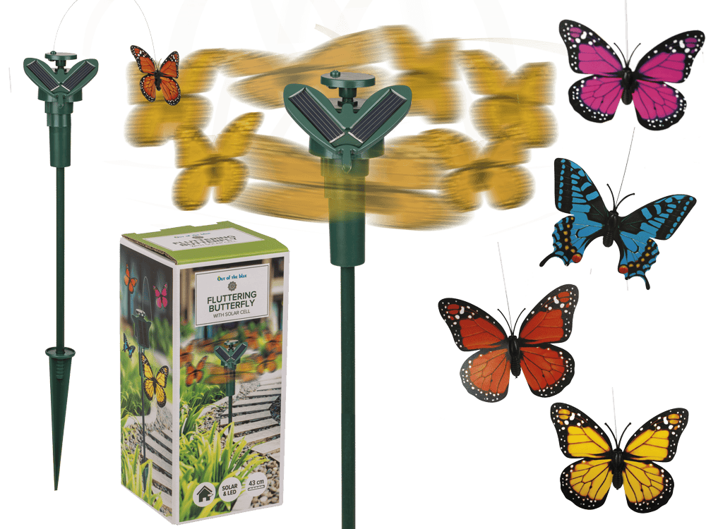 Fluttering Butterfly,