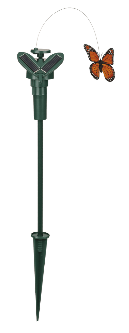 Fluttering Butterfly,