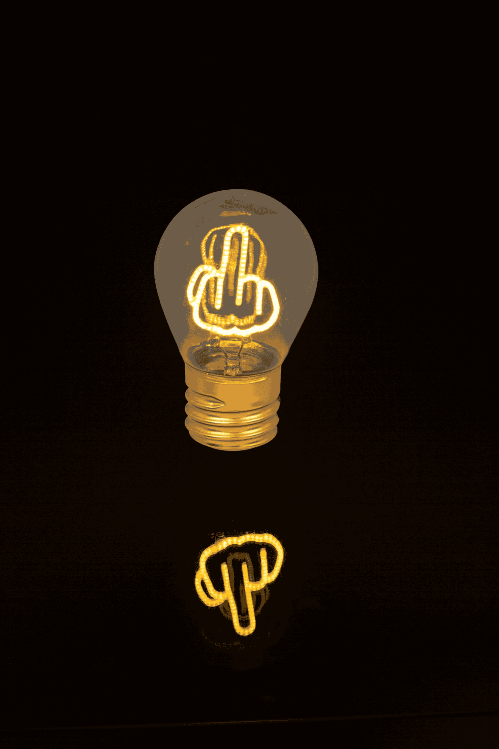 Light Bulb, middle finger, incl. Lithium battery