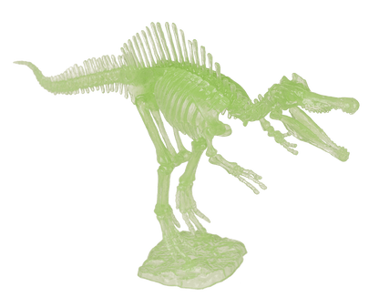 DIY Dinosaur Skeleton Assembly Kit, approx. 10 cm,