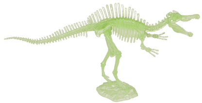 DIY Dinosaur Skeleton Assembly Kit, approx. 10 cm,