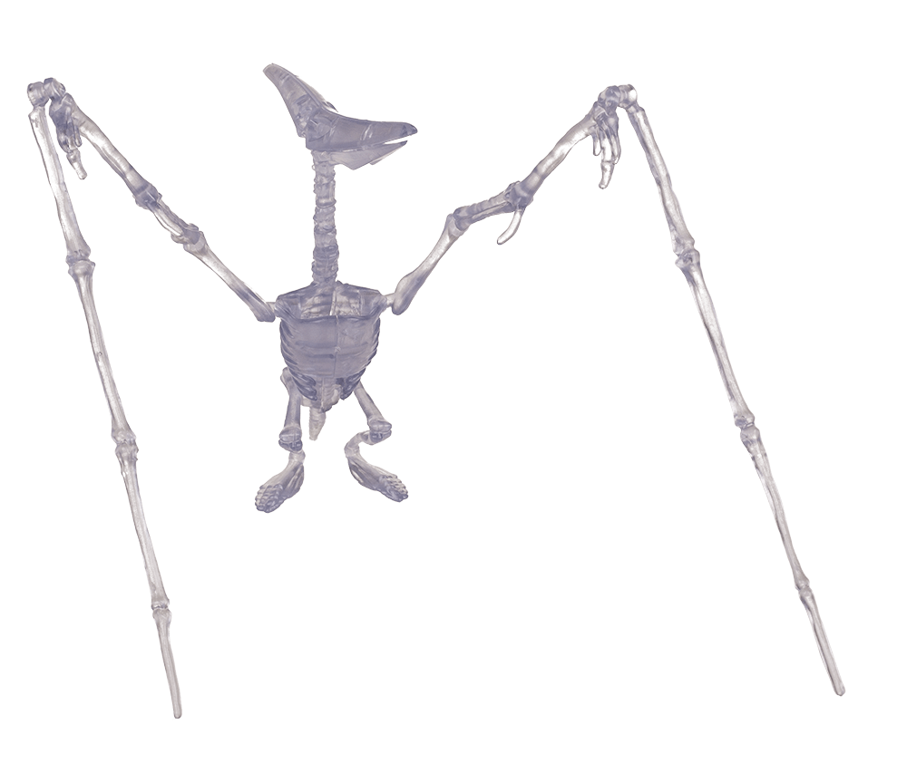 DIY Dinosaur Skeleton Assembly Kit, approx. 10 cm,