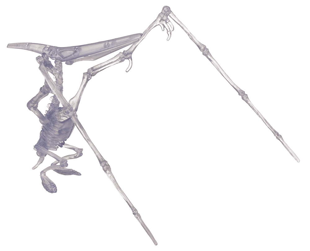 DIY Dinosaur Skeleton Assembly Kit, approx. 10 cm,