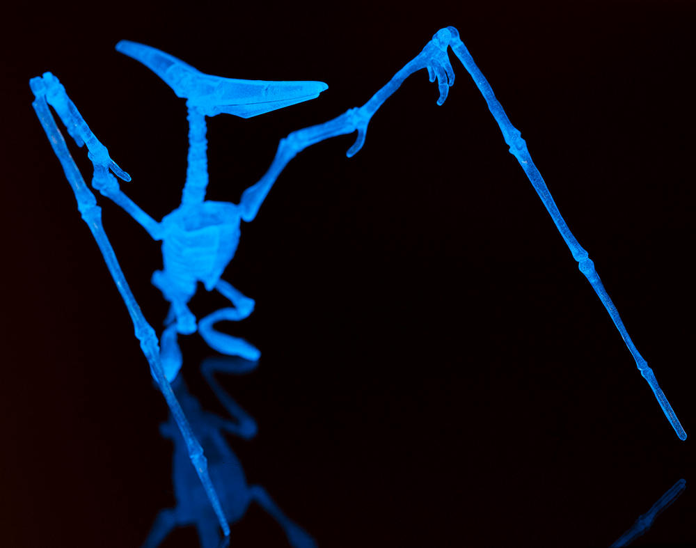 DIY Dinosaur Skeleton Assembly Kit, approx. 10 cm,