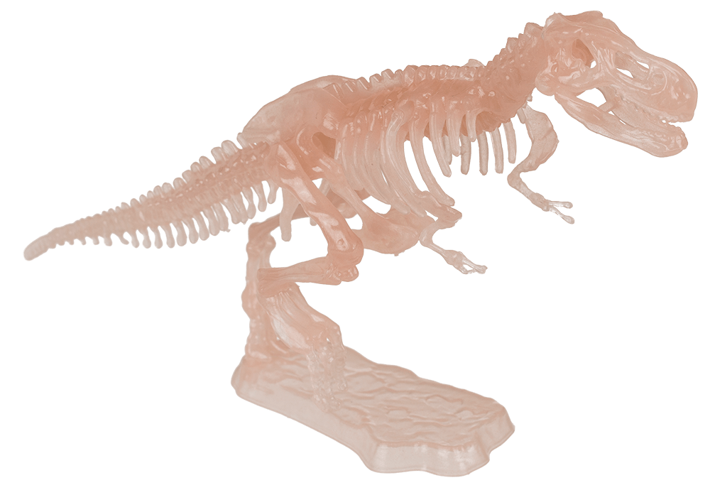 DIY Dinosaur Skeleton Assembly Kit, approx. 10 cm,