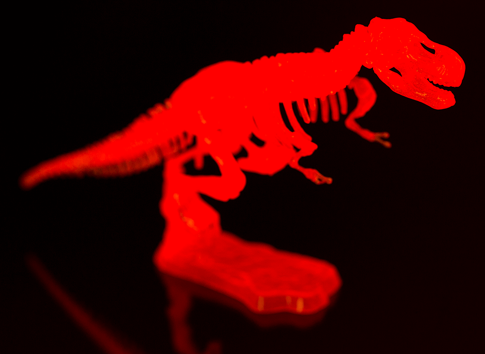 DIY Dinosaur Skeleton Assembly Kit, approx. 10 cm,