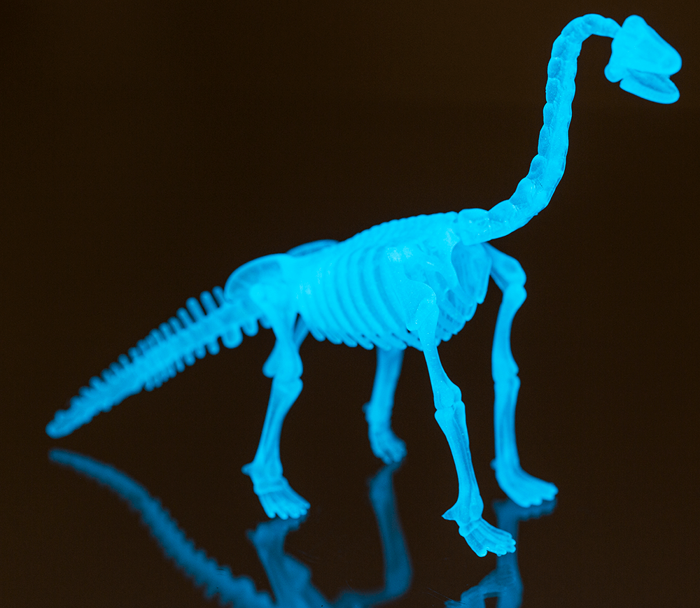 DIY Dinosaur Skeleton Assembly Kit, approx. 10 cm,
