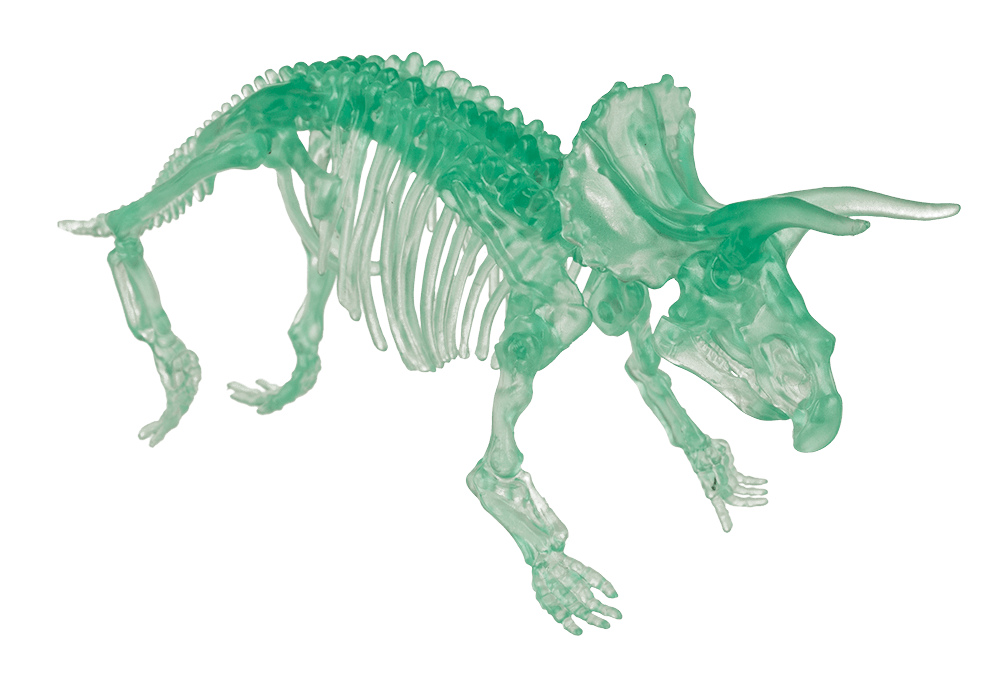 DIY Dinosaur Skeleton Assembly Kit, approx. 10 cm,