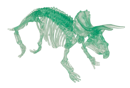 DIY Dinosaur Skeleton Assembly Kit, approx. 10 cm,