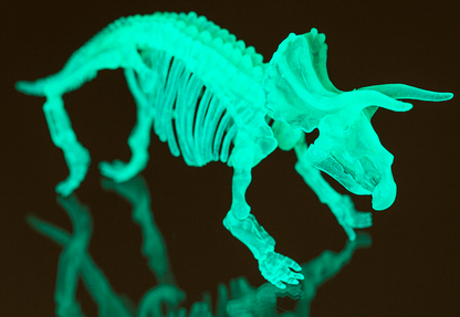 DIY Dinosaur Skeleton Assembly Kit, approx. 10 cm,