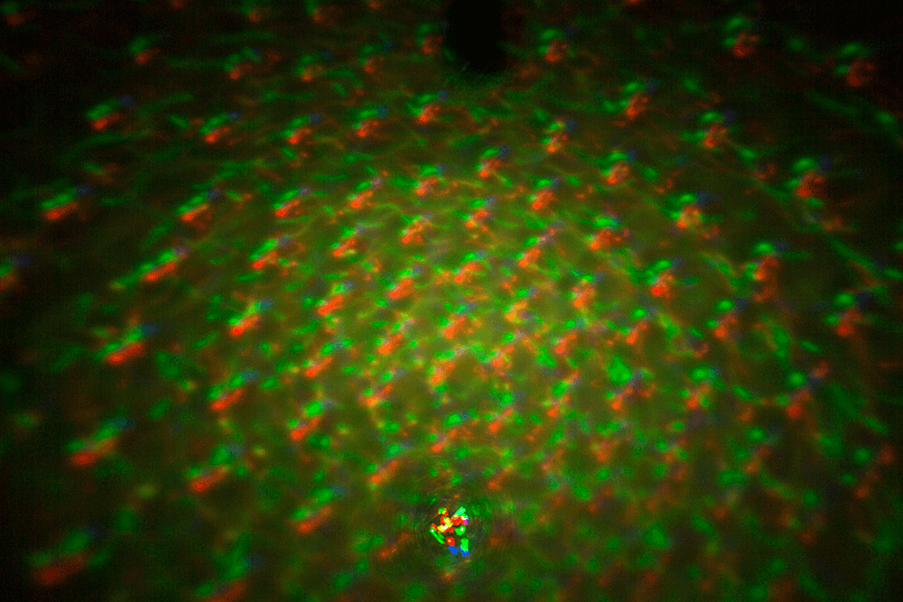 Snap Band, Disco Ball Light,