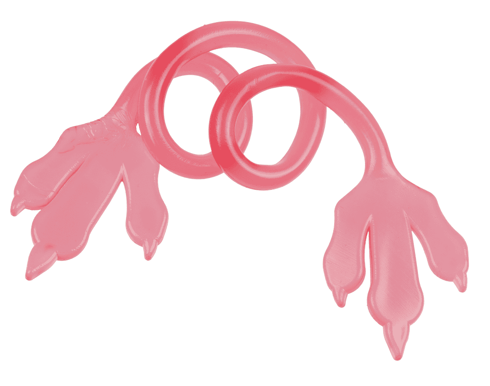 Stretchy/Sticky Dinosaur Claw, approx.  34,5 cm,