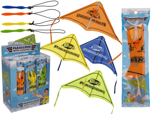 Glider with catapult, 23 x 45 cm,