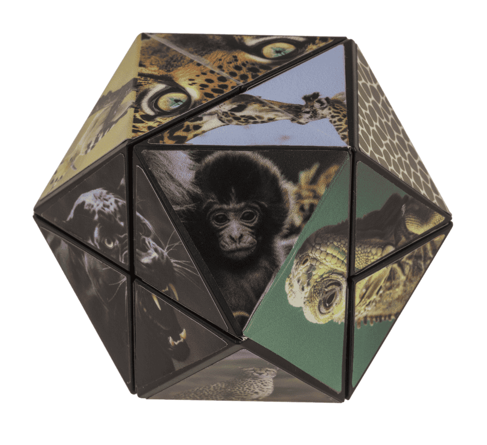 Boundless Cube, Wild Animals,