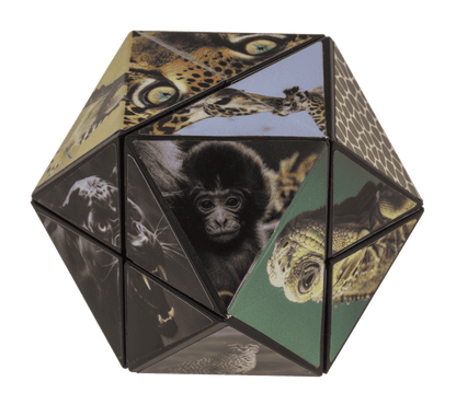Boundless Cube, Wild Animals,