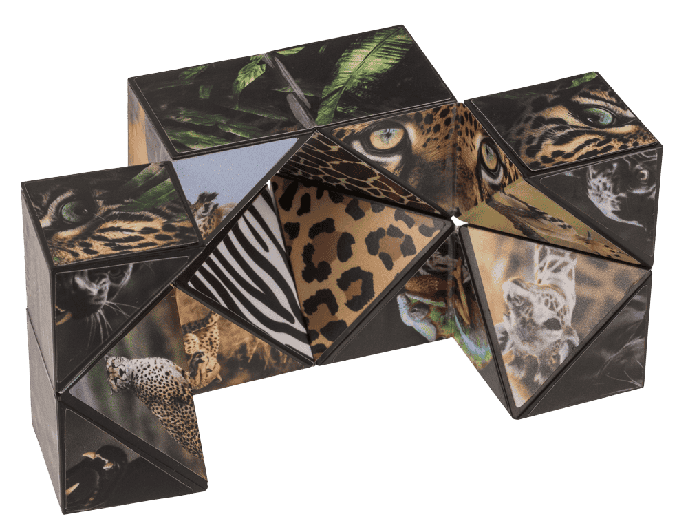 Boundless Cube, Wild Animals,