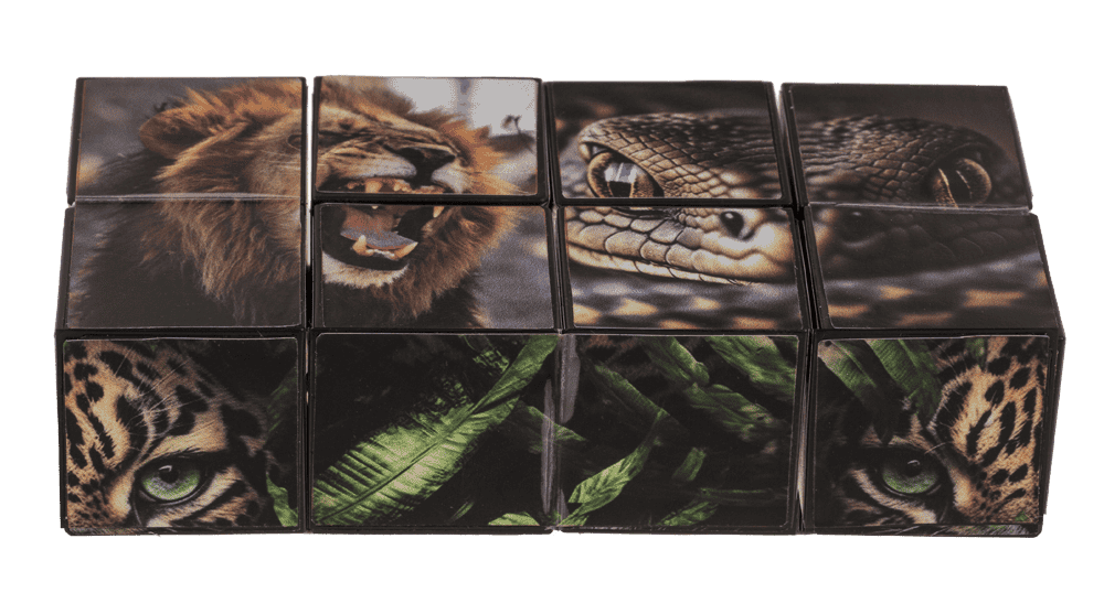 Boundless Cube, Wild Animals,