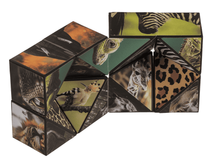 Boundless Cube, Wild Animals,