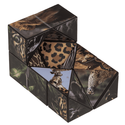 Boundless Cube, Wild Animals,