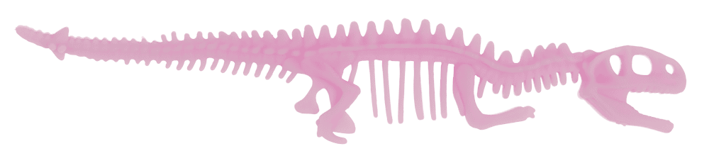 Stretchy Bone Bracelets,