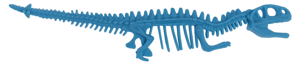 Stretchy Bone Bracelets,