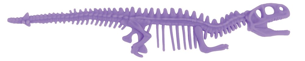 Stretchy Bone Bracelets,