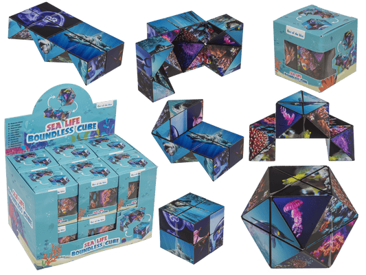 Boundless Cube,Sealife,