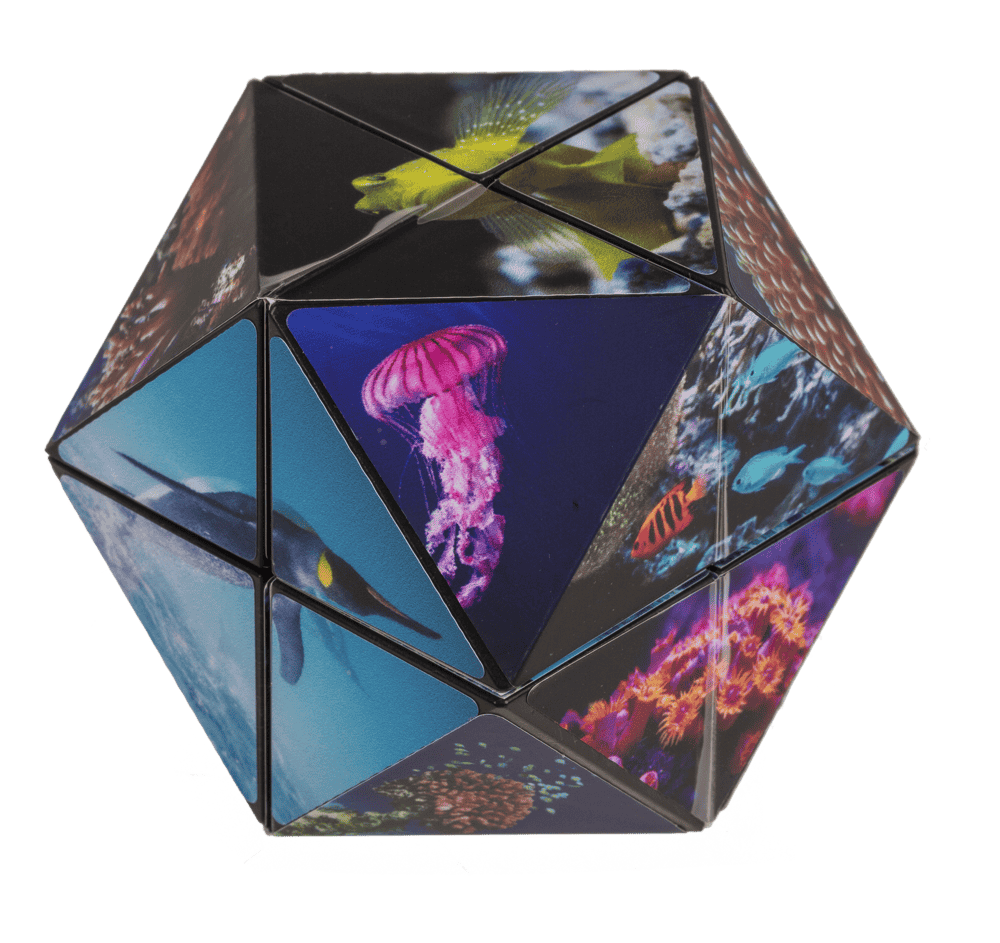 Boundless Cube,Sealife,