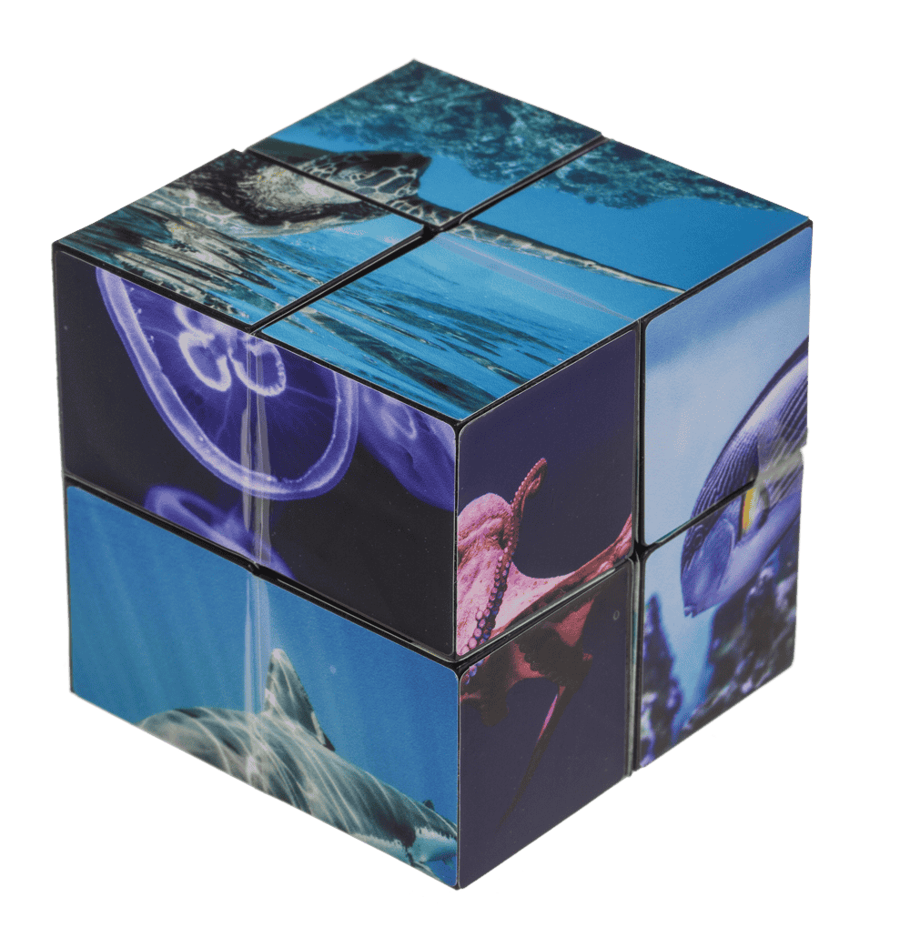 Boundless Cube,Sealife,