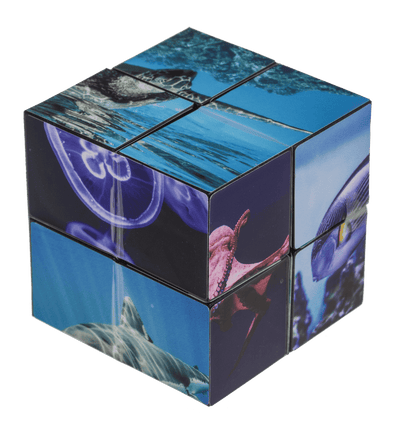 Boundless Cube,Sealife,