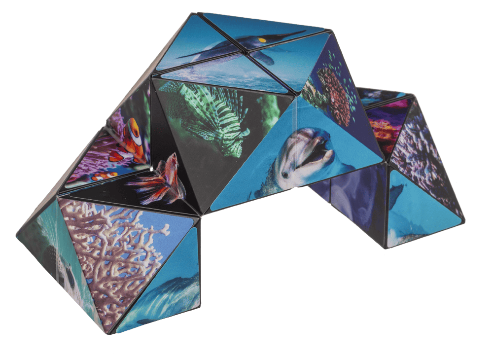 Boundless Cube,Sealife,