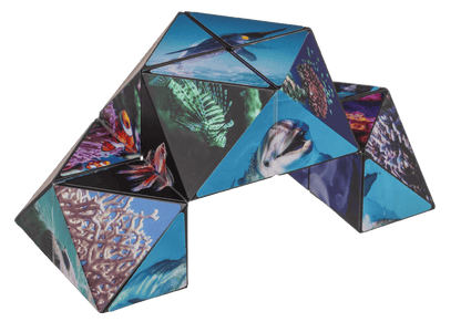 Boundless Cube,Sealife,