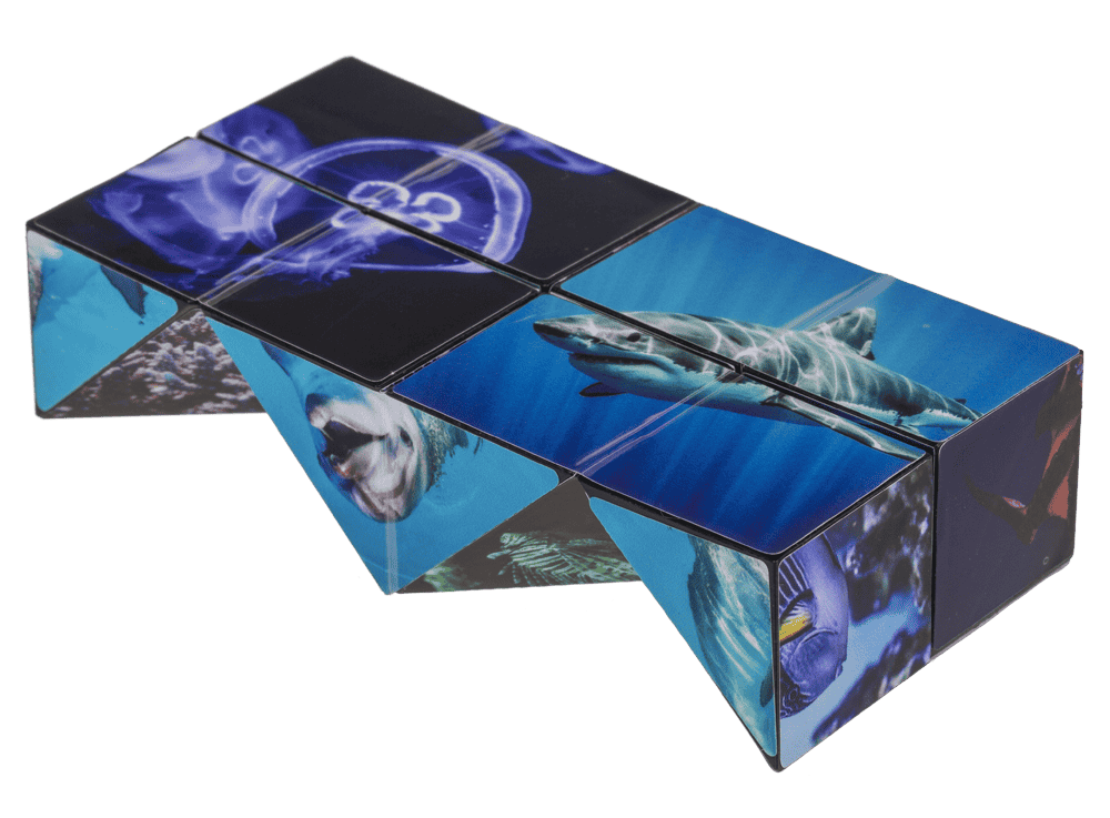 Boundless Cube,Sealife,