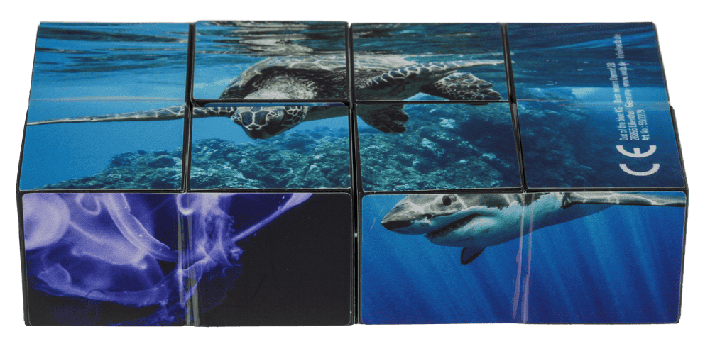 Boundless Cube,Sealife,