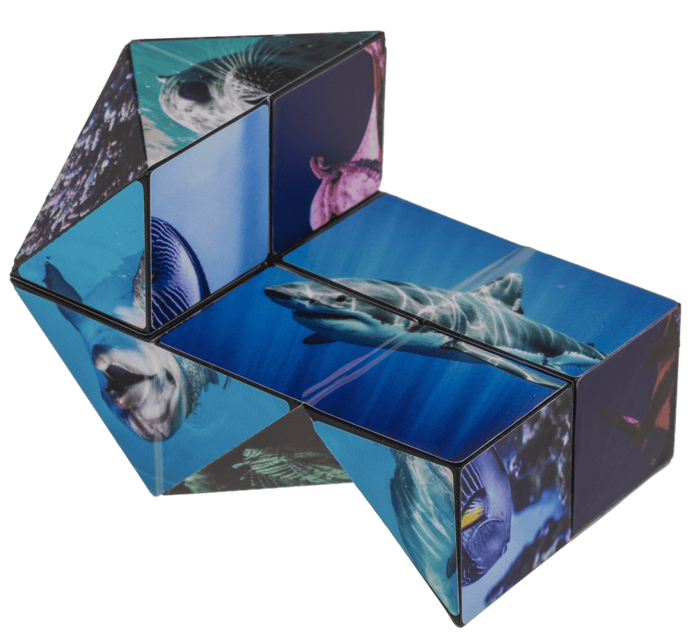 Boundless Cube,Sealife,