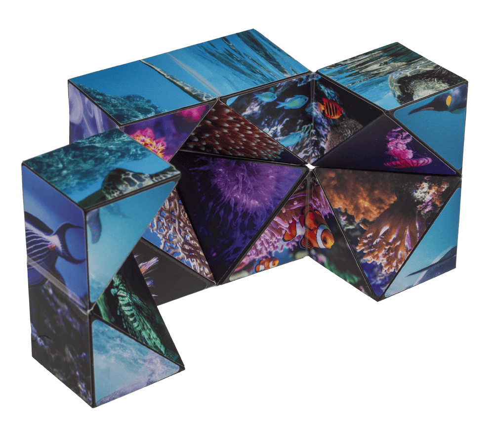 Boundless Cube,Sealife,