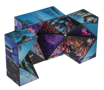 Boundless Cube,Sealife,