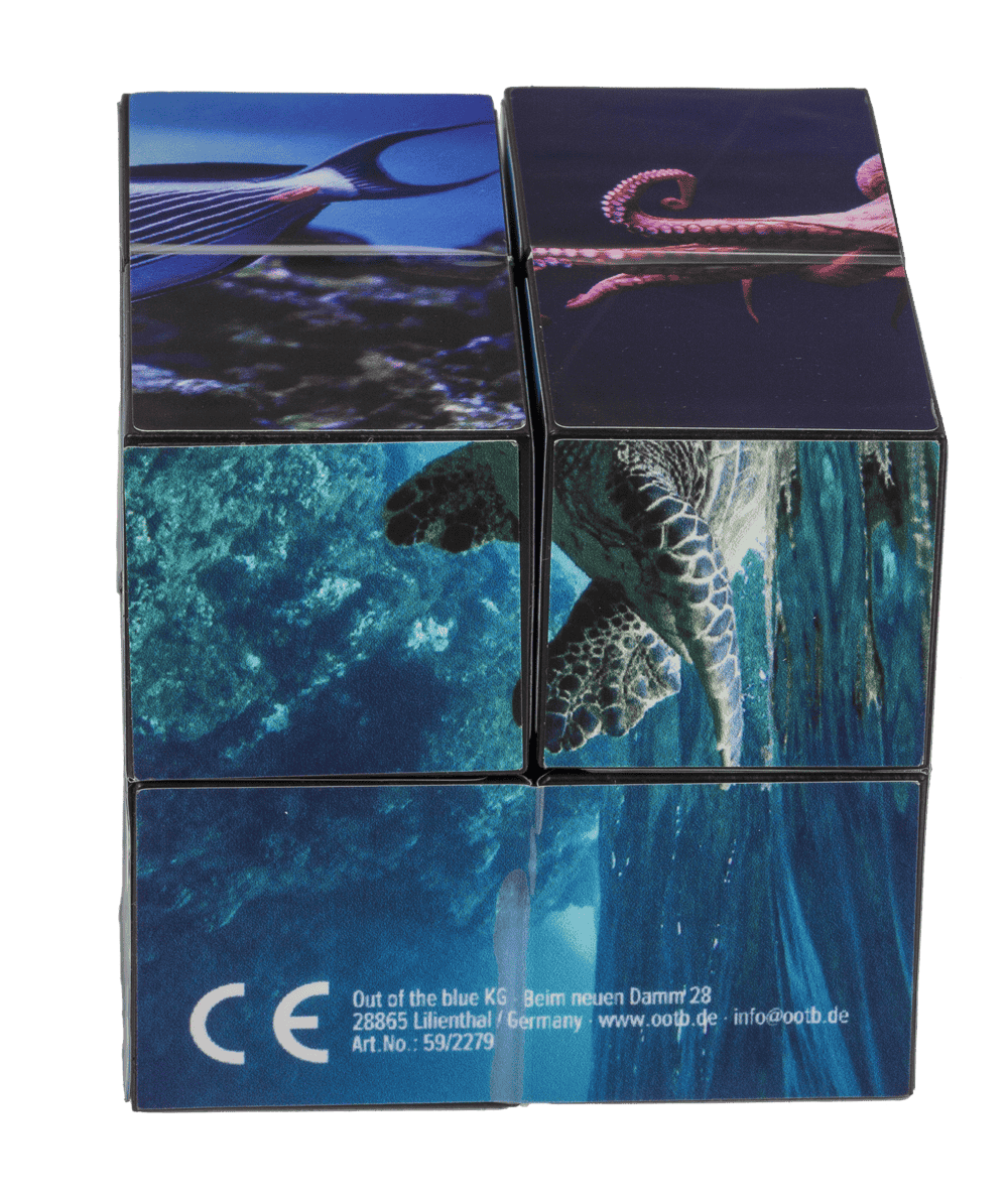 Boundless Cube,Sealife,