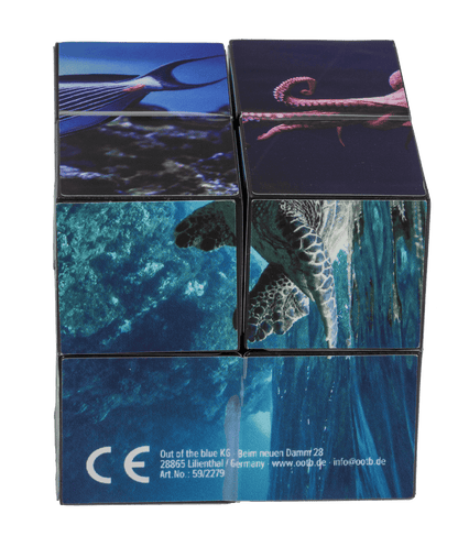 Boundless Cube,Sealife,